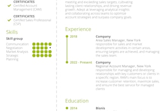 create a professional resume design or cv template