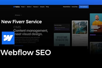 webflow SEO for your website to attract organic visitors