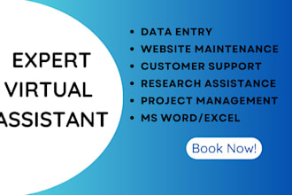 execute virtual assistant creative virtual personal assistant social media