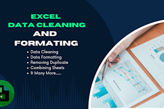 clean, format, merge, and split excel data professionally