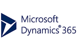 do fast and reliable microsoft d365 development support services