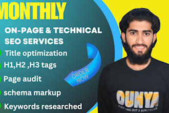 provide skilled monthly on page and technical seo assistance for your website