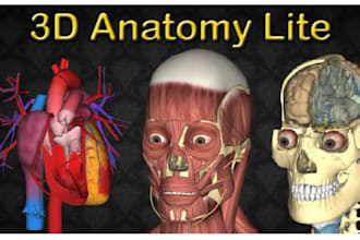 do high quality photorealistic medical anatomy 3d rendering