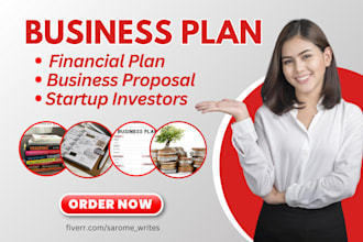 write business plan business proposals financial plan pitch deck for investors
