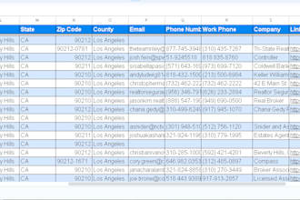 quick, excel or CSV data cleaning, formatting and remove duplicate data