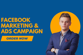 be your facebook and instagram ads manager,run fb and ig ads campaign