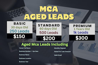 provide aged mca leads