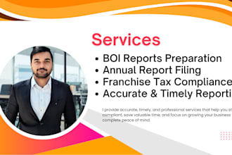 file boir and franchise tax reports for US llcs