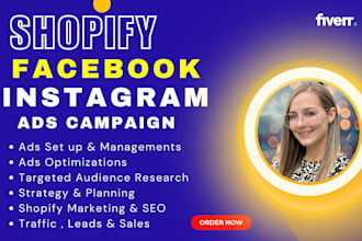 set up facebook and instagram ads campaigns, fb meta ads and instagram promotion