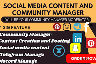 do your community manager, slack admin telegram discord moderator crypto manager