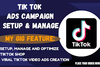 setup tiktok ads campaign, run tiktok ads, tiktok advertising, tiktok ads