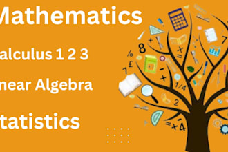 assist in math projects calculus I, ii, iii,  statistics and physics course