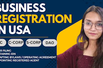 incorporate llc ccorp or scorp in USA