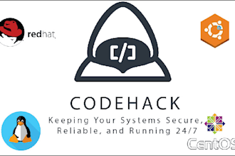 do any linux task for the system administrator level
