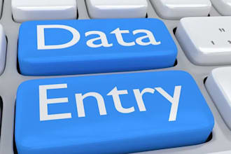 do excle data entry, web research and lead generation