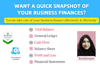prepare profit and loss balance sheet for small businesses