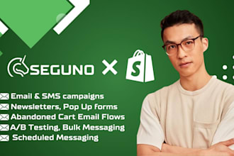 maximize your shopify sales with seguno email campaigns, abandoned cart flows