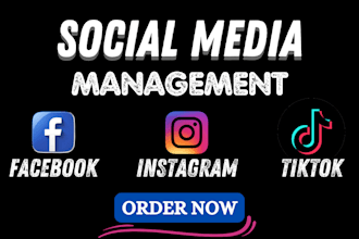 be your social media manager, content creator and social media marketing
