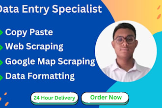do fast and accurate google map scraping, web scarping, copy paste under 24 hour