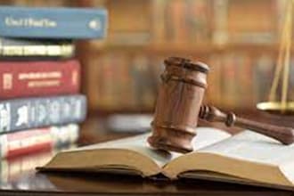 do  legal research, criminology, business law