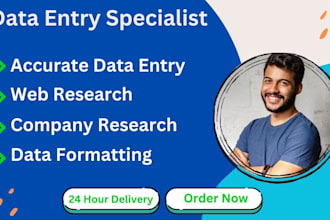 do professional data entry, web and company research, data formatting in 24 hour