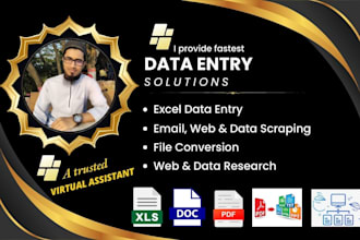 do fastest data entry, copy paste, web, data and email scraping, file conversion
