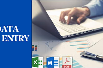 do data entry, manual data entry, convert PDF to word, data collection