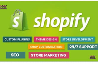 dropshipping agent shopify website shopify store  dropshipping ecommerce expert