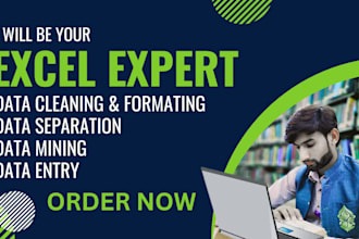 data cleaning, data formating, data separation, data mining, data entry