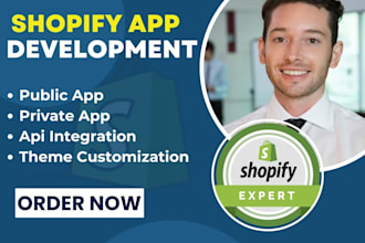 shopify development plugin shopify public private app shopify api customization