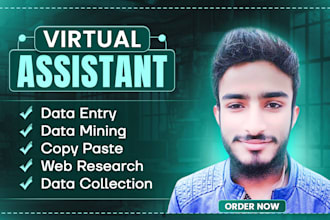 be your long term virtual assistant for data entry and internet research