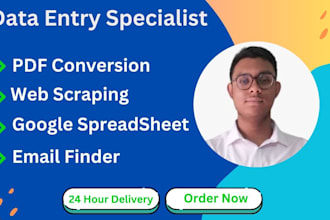 do professional data scraping, PDF conversion, email finder under 24 hour