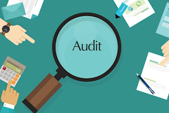do financial audit of your business as per required standards isas