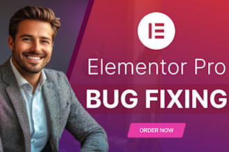 fix wordpress issues including woocommerce and elementor pro