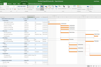 create professional project schedules and gantt charts in ms project