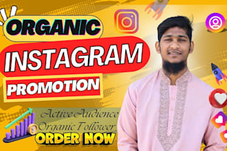 promote instagram organically and grow followers