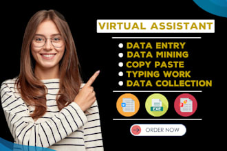 do excel data entry, data mining, data scraping and copy paste