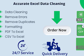 do accurate excel data cleaning with quick delivery