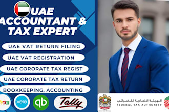 do uae corporate tax return filling, vat, accounting work, auditing services