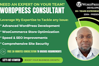 be your wordpress consultant