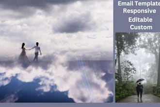work as email marketing mailchimp campaign expert