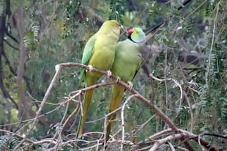 write a blog on the beauty of nature