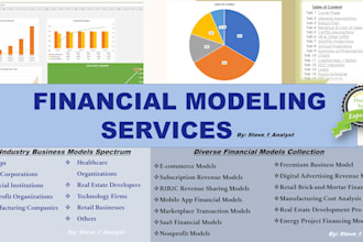 do financial modeling and valuation expert