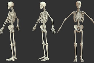 model 3d realistic anatomy model,skeleton model sculpt for printing in ztl file
