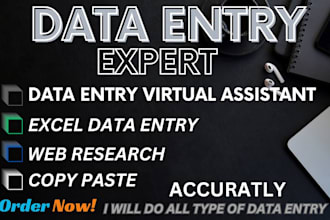do all type of data entry, PDF converter, copy paste work