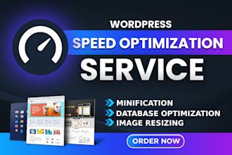 do wordpress speed optimization, speed up website, google page speed insights