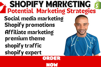 do shopify marketing promotion and dropshipping manager for ecommerce website