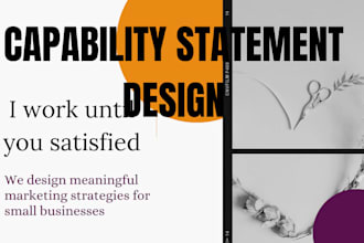 do professional federal and government contractive capability statements