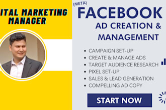 set up your facebook and instagram ad campaigns