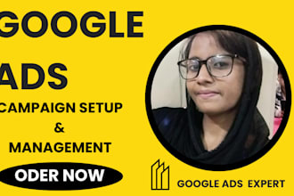 do expert google campaign setup for professional